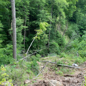 2020-06-10_22_50_46_124b5537-8b31-480c-acdf-4543851bb92c